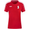 SV Langenbach Freizeit Baumwolle Mix Shirt