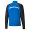 SpVgg Altenerding Zip Top
