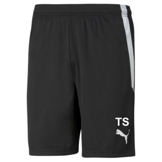 SpVgg Altenerding Trikotshort