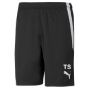 SpVgg Altenerding Trikotshort