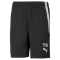 SpVgg Altenerding Trikotshort