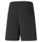 SpVgg Altenerding Trikotshort
