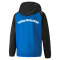 SpVgg Altenerding Regenjacke