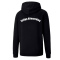 SpVgg Altenerding Hoodie