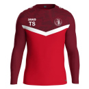 TSV Poppenhausen Sweat Iconic rot