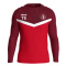 TSV Poppenhausen Sweat Iconic rot