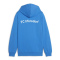 FC Irfersdorf Hoodie