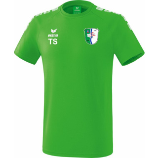 TSV Isen Kickboxen T-Shirt grün