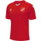 FC Hörgersdorf Trainingsshirt (Herren/Kinder)