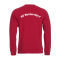 KG Wormersdorf Sweat