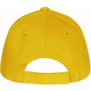 Tierschutzverein Pfaffenhofen Classic Cap