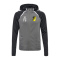 DJK Ottenhofen Zip Hoodie