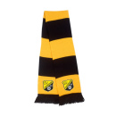 SpVgg Langenpreising Schal m. Stick