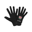 Eintracht Berglern Handschuhe