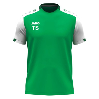 TSV Erding Trikot