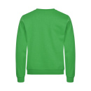 Miami Roundneck