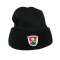 Eintracht Berglern Mütze schwarz Logo gestickt