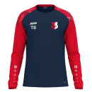 SV Langenbach Longsleeve
