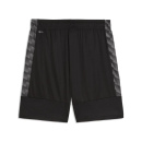 FC Irfersdorf Trainingsshort