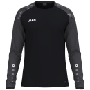 Longsleeve Sonic - schwarz/anthrazit