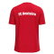 FC Neufahrn Trainingstrikot rot