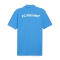 FC Irfersdorf Poloshirt