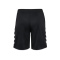 BSG Taufkirchen Trainer Short schwarz