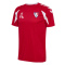 BSG Taufkirchen Trikot Farbauswahl