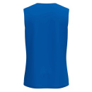TC Holler Tanktop royal