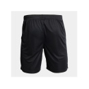 SpVgg Altenerding Short schwarz