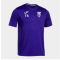 SpVgg Altenerding Shirt violet