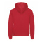 MRS Hoodie rot