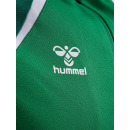 hmlLEAD 2.0 ZIP HOODIE - JELLY BEAN/EVERGREEN