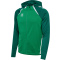hmlLEAD 2.0 ZIP HOODIE - JELLY BEAN/EVERGREEN