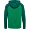 hmlLEAD 2.0 ZIP HOODIE - JELLY BEAN/EVERGREEN