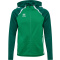 hmlLEAD 2.0 ZIP HOODIE - JELLY BEAN/EVERGREEN