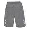 hmlLEAD 2.0 WOVEN SHORTS - STEEL GRAY