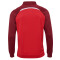 hmlLEAD 2.0 TRACK ZIP JACKET - TRUE RED/MAROON