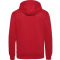 hmlGO 2.0 HOODIE - TRUE RED
