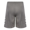hmlCORE 2.0 SHORTS - STEEL GRAY/WHITE