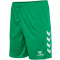 hmlCORE 2.0 SHORTS - JELLY BEAN/WHITE