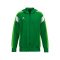 CELEBRATE 125 Training Jacket with hood - smaragd/green gecko