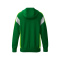 CELEBRATE 125 Training Jacket with hood - smaragd/green gecko