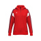 CELEBRATE 125 Training Jacket with hood - rot/new bordeaux