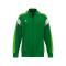 CELEBRATE 125 Training Jacket - smaragd/green gecko