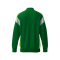 CELEBRATE 125 Training Jacket - smaragd/green gecko