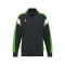 CELEBRATE 125 Training Jacket - schwarz/green gecko