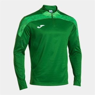 CHAMPIONSHIP VIII SWEATSHIRT - GRÜN