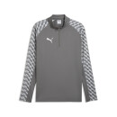 teamLIGA26 Training 1/4 Zip Top - gray