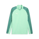 teamLIGA26 Training 1/4 Zip Top - green